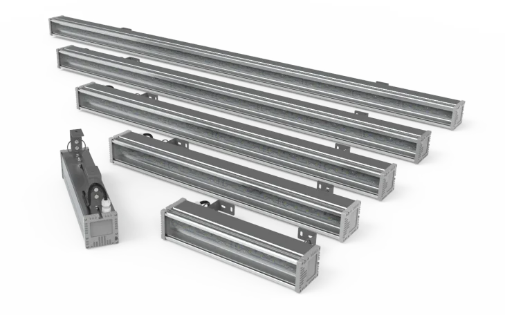 Svt P Direct Family