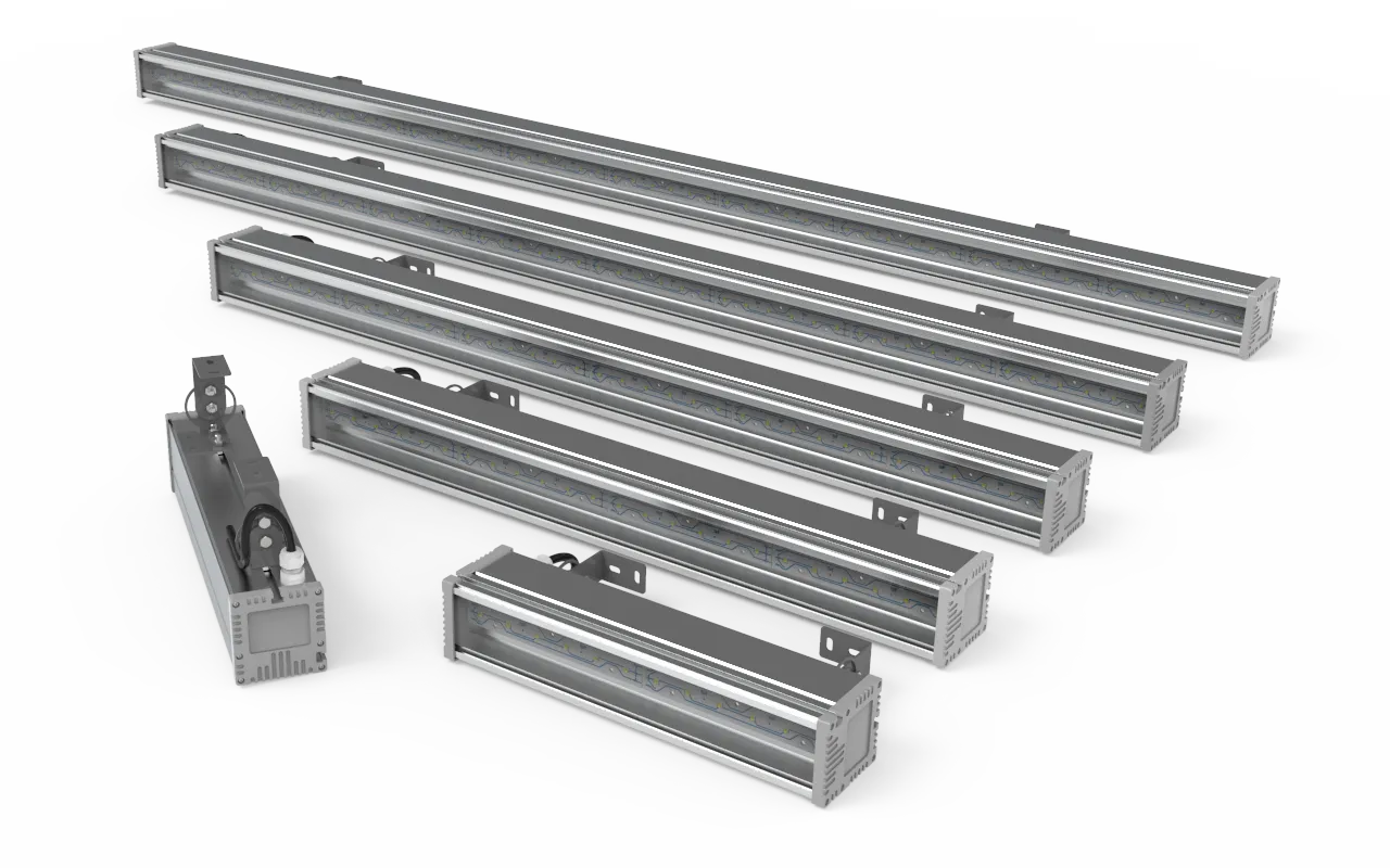 Svt P Direct Family