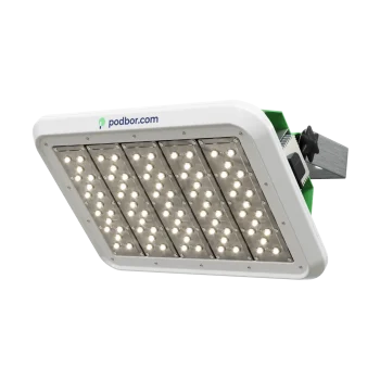 Заливающего света